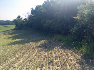 Noble County, Indiana farmland - LAND AUCTION - 54+/- ACRES OFFERED IN 2 TRACTS IN NOBLE COUNTY, INDIANA